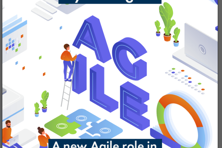 Hybrid Agile A new Agile role in large organisations