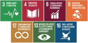 bonne santé et bien-être
éducation de qualité
travail décent et croissance économique
industrie, innovation et infrastructure
consommation et production responsables
mesures relatives à la lutte contre les changements climatiques
paix, justice et institutions efficaces